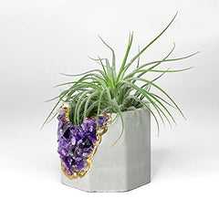 Geode Planter | Unique Air Plant Holder | Amethyst Crystal Planter | Succulent Pot | Purple and Gold Cactus Pot | Crystal Candle Holder |