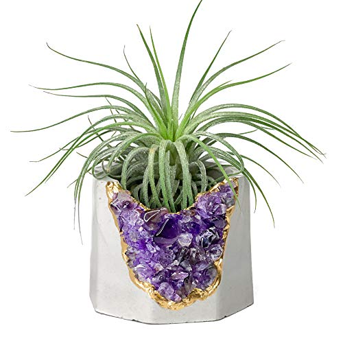 Geode Planter | Unique Air Plant Holder | Amethyst Crystal Planter | Succulent Pot | Purple and Gold Cactus Pot | Crystal Candle Holder |